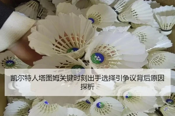凯尔特人塔图姆关键时刻出手选择引争议背后原因探析